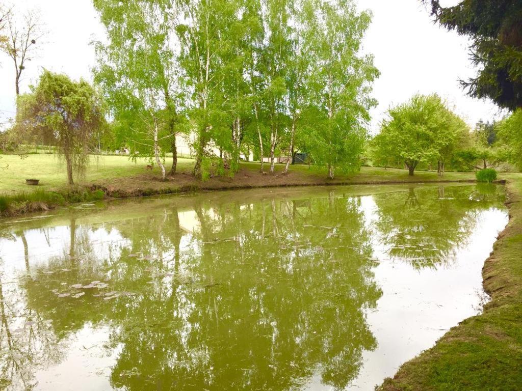 La Maison D'Hera Сент-Ір'є-ла-Перш Екстер'єр фото